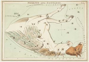 Leigh Pegasus
