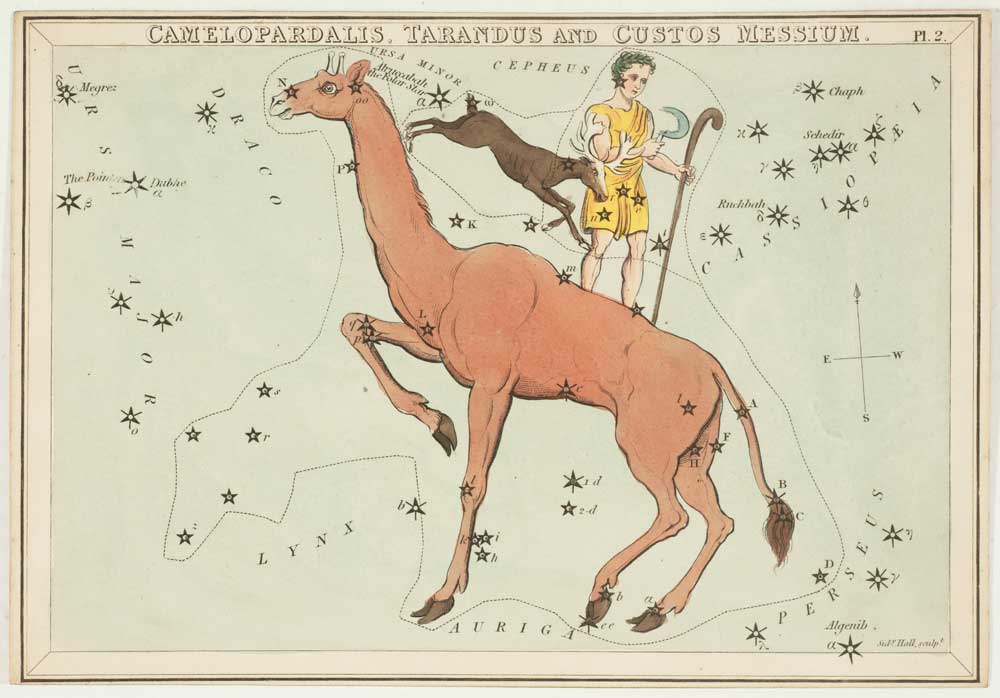 Leigh Camelopardalis