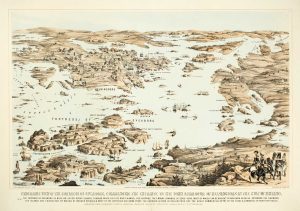 Packer Sveaborg