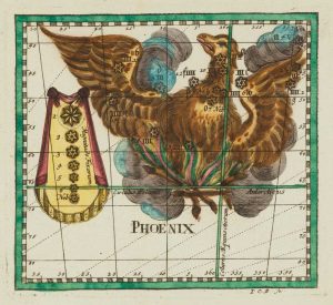 Thomas Phoenix