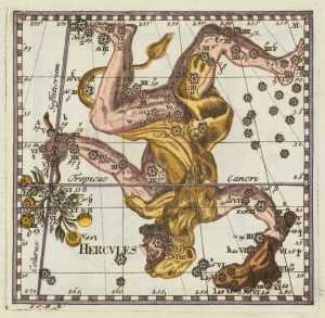 Thomas Hercules