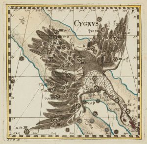 Thomas Cygnus