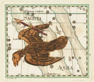 Thomas Sagitta Aquila