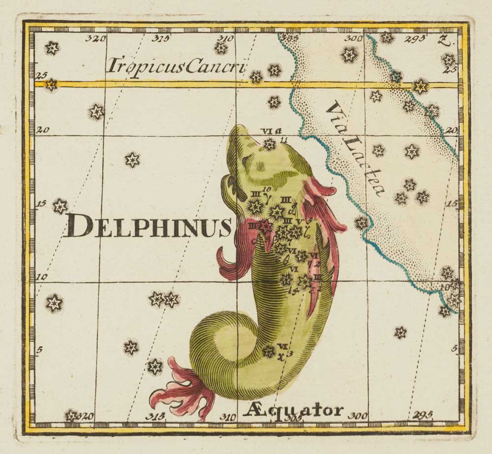 Thomas Delphinus