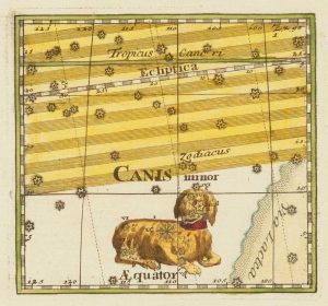 Thomas Canis Minor
