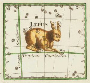 Thomas Lepus