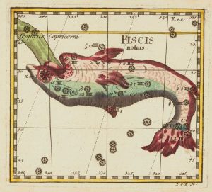 Thomas Piscis