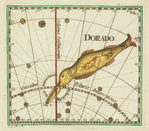 Thomas Dorado