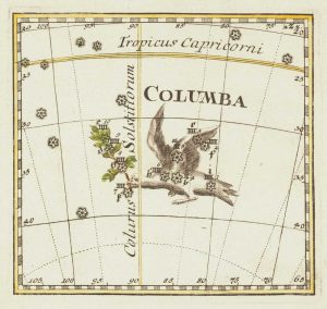 Thomas Columba