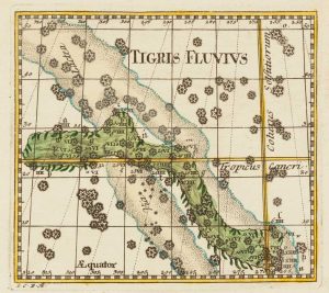 Thomas Tigris