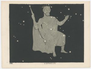 Blunt Cepheus