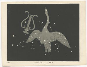 Blunt Cygnus and Lyra