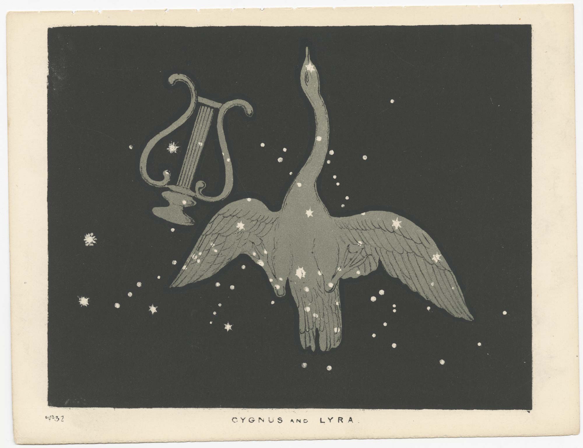 Blunt Cygnus and Lyra