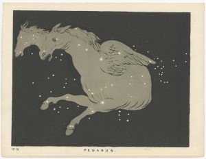 Blunt Pegasus