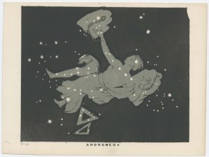Blunt Andromeda