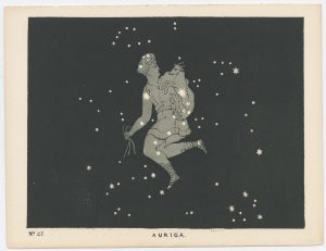 Blunt Auriga