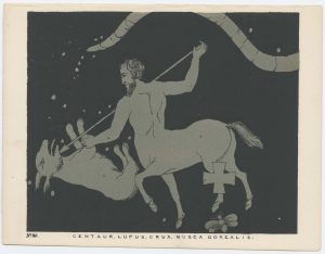 Blunt Centaur