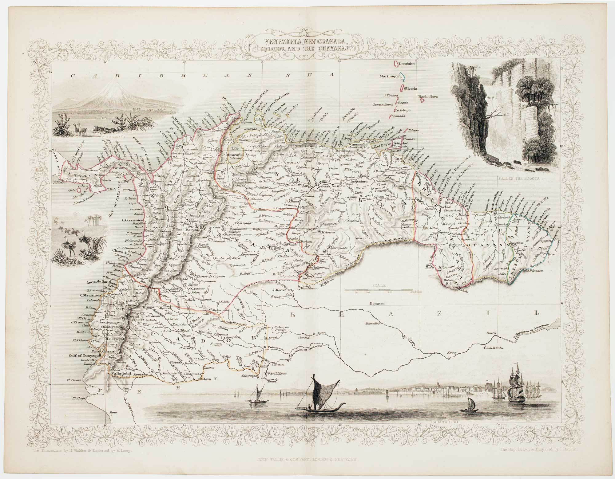 Tallis Colombia