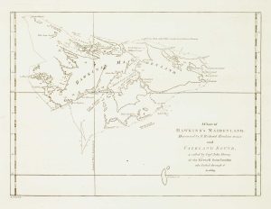 Noual Falklands