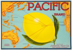 Schmidt Pacific