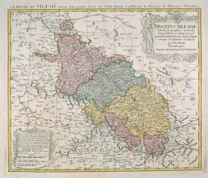 Mayer Silesia