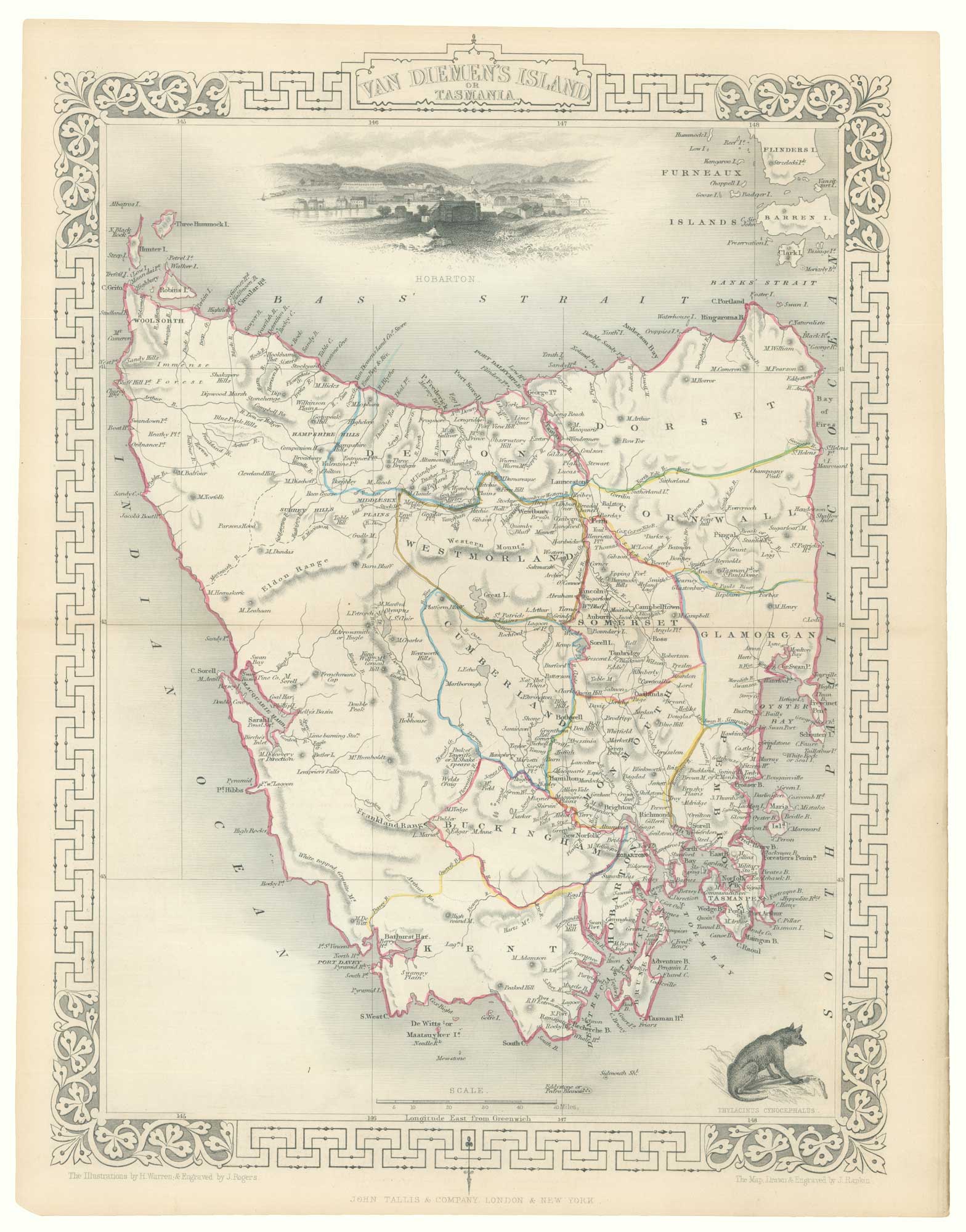 Tallis Tasmania