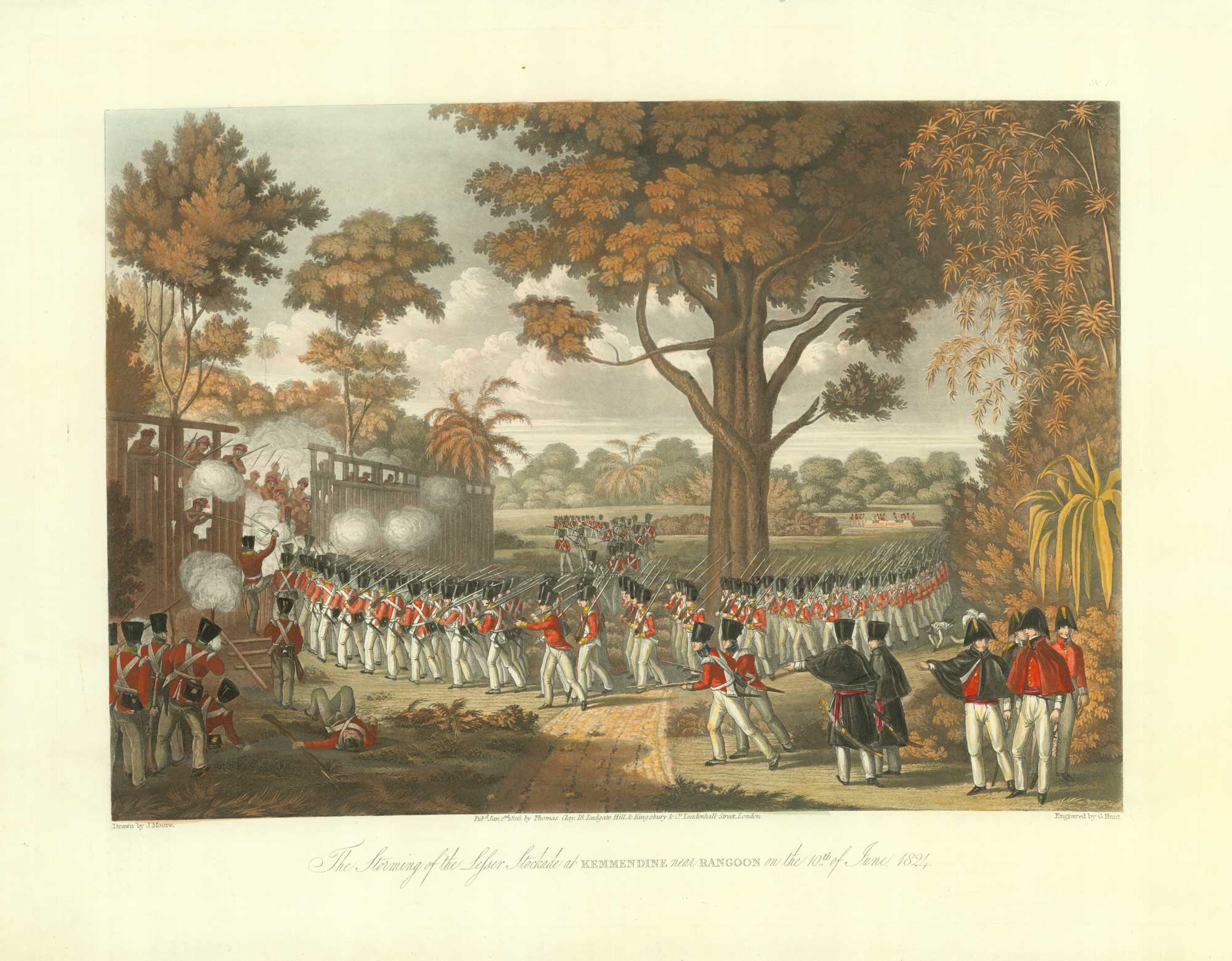 Moore Rangoon Lesser Stockade