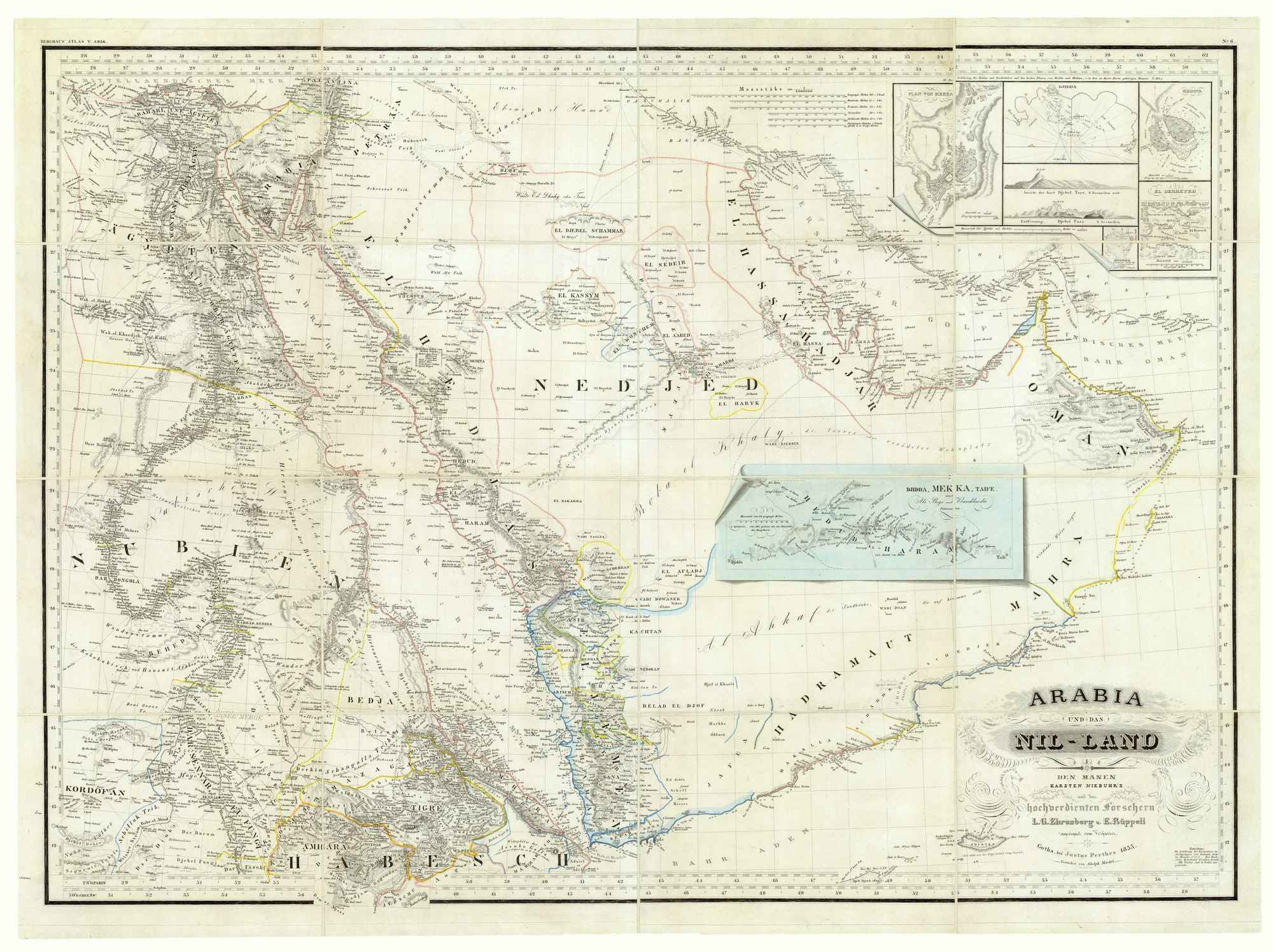 Enrenberg and Rupelle Arabia