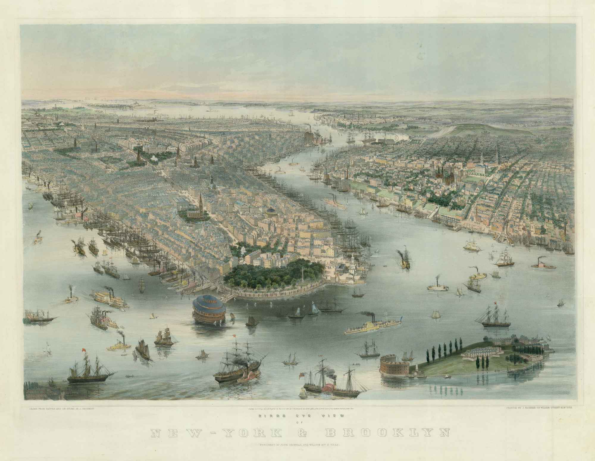 Bachmann New York & Brooklyn