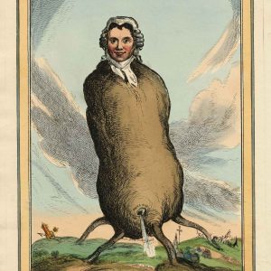 Heath Daniel O'Connell