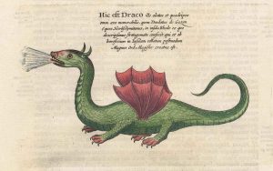 Kircher Dragon of Rhodes