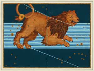 Bayer Leo