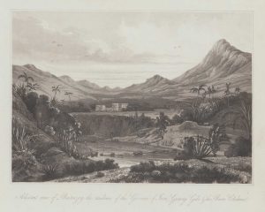 Daniell Buitenzorg
