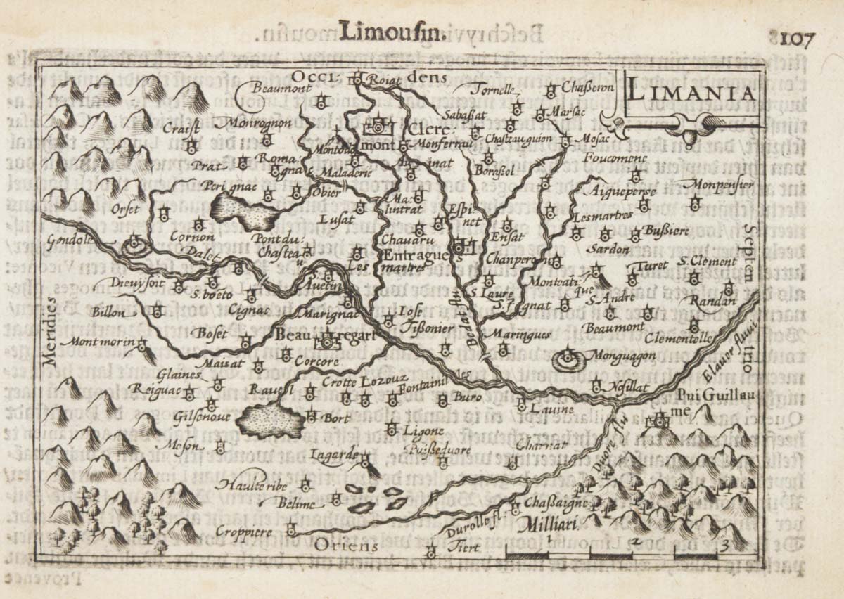 Langenes Limousin