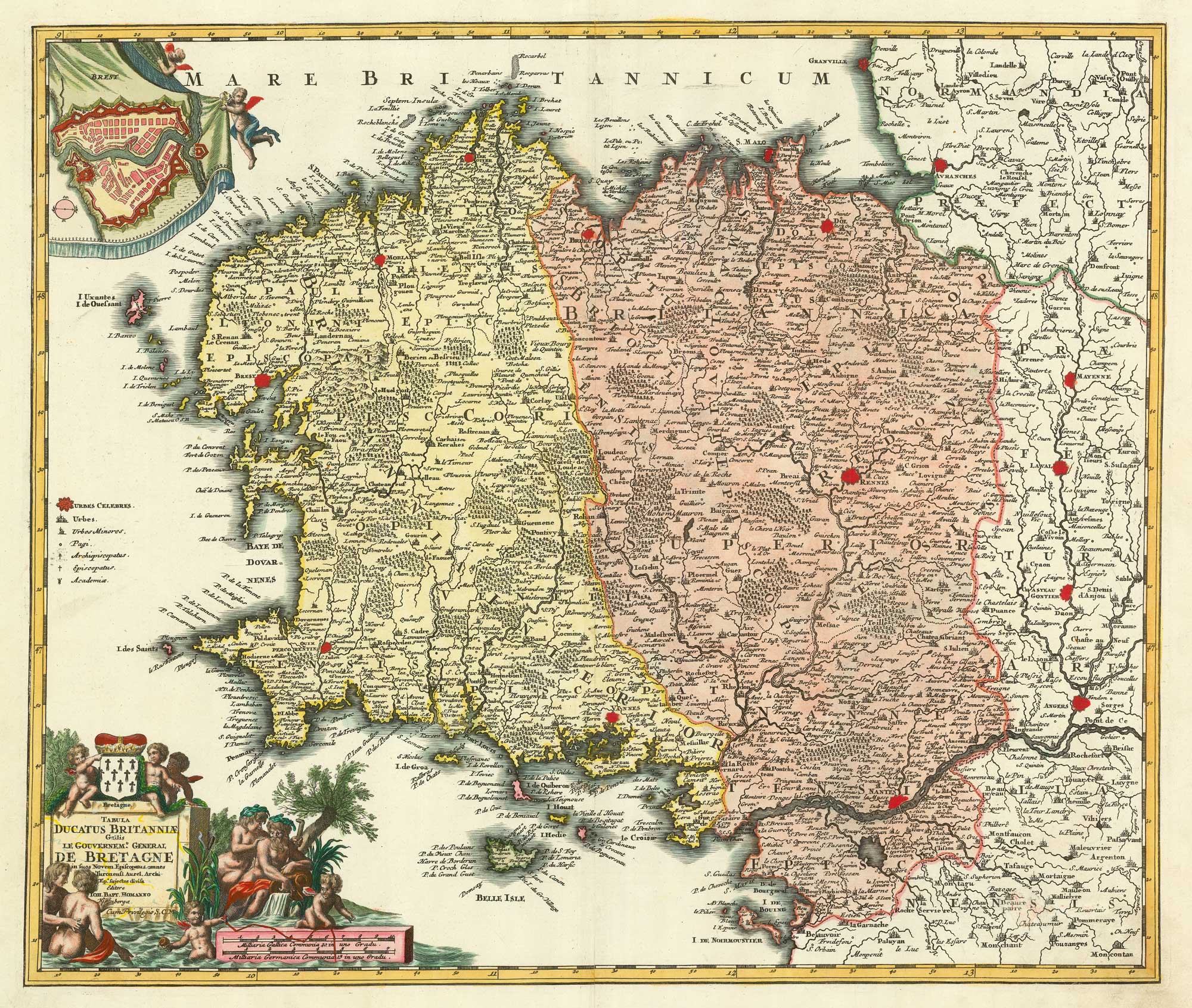 Homann Brittany