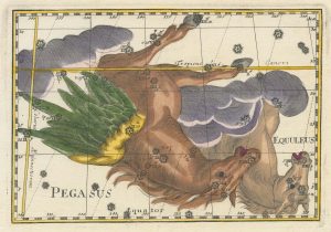 Thomas Pegasus