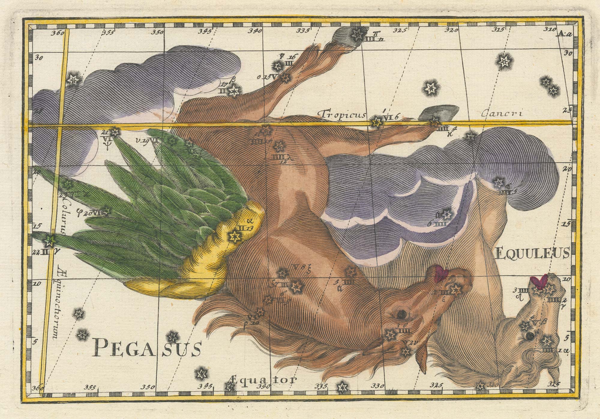 Thomas Pegasus