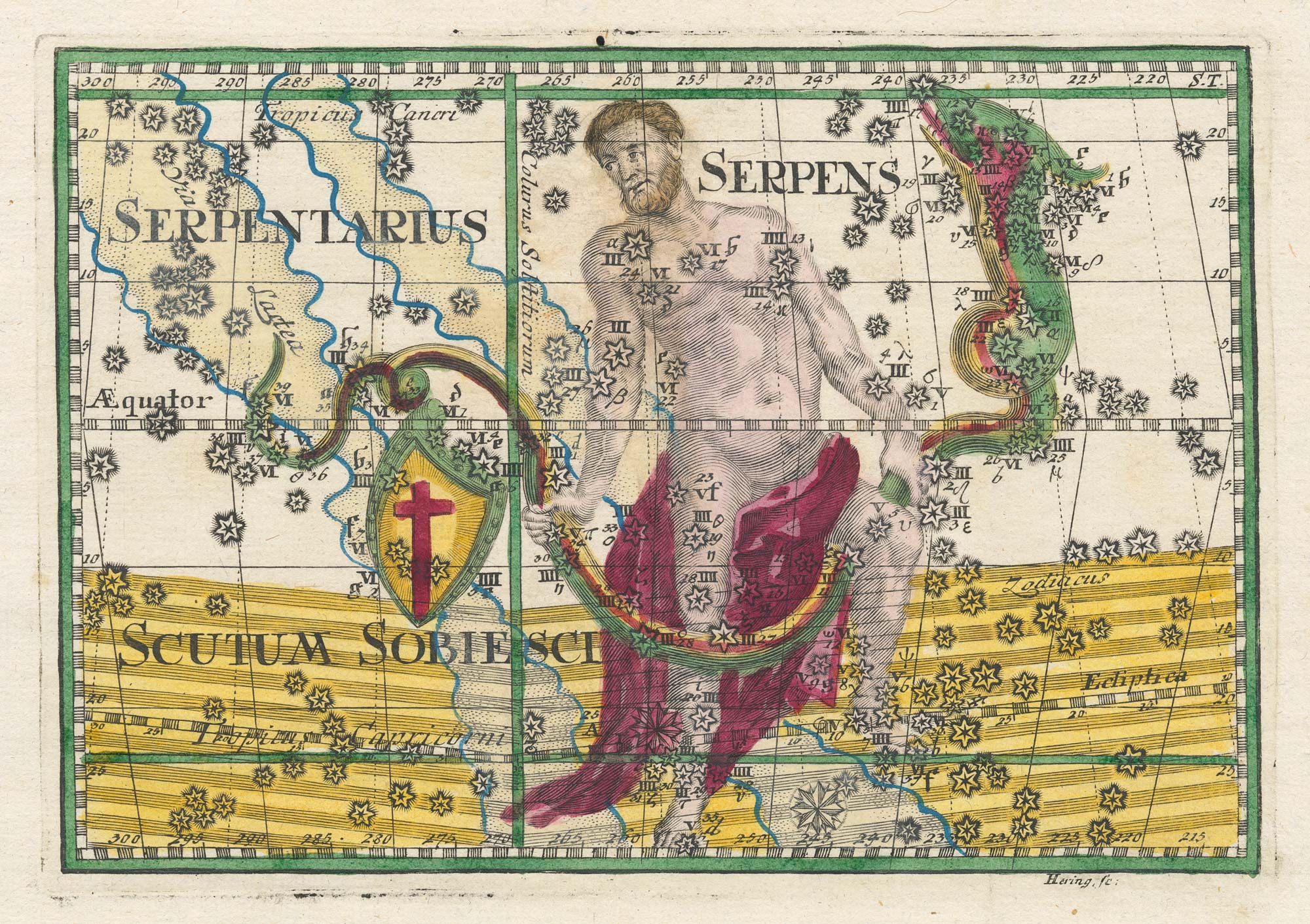 Thomas Serpens