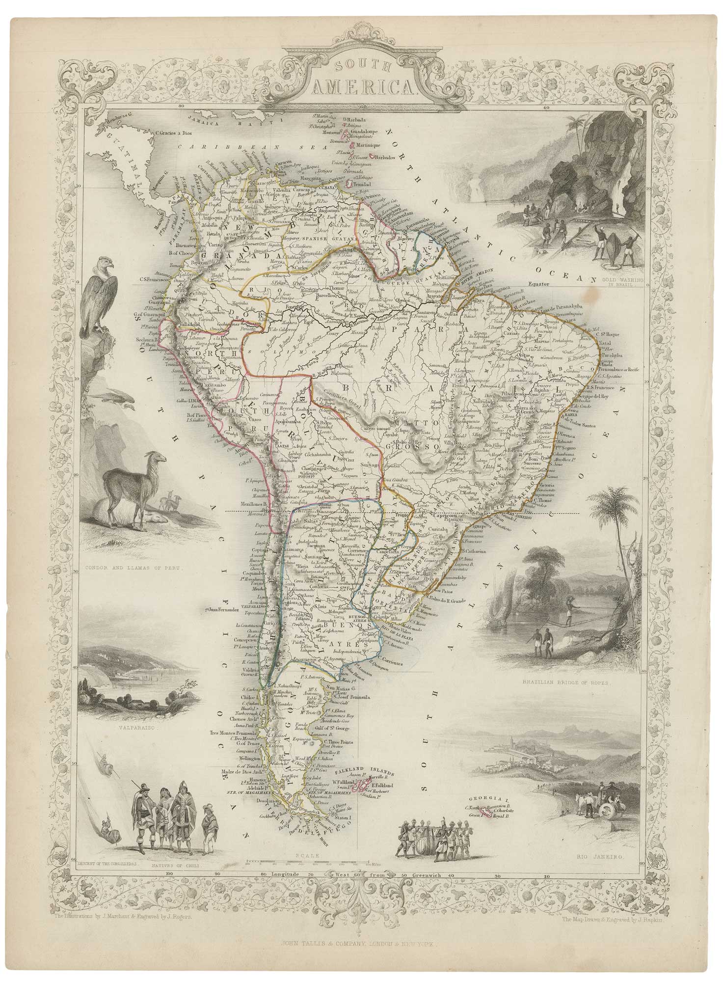 Tallis South America