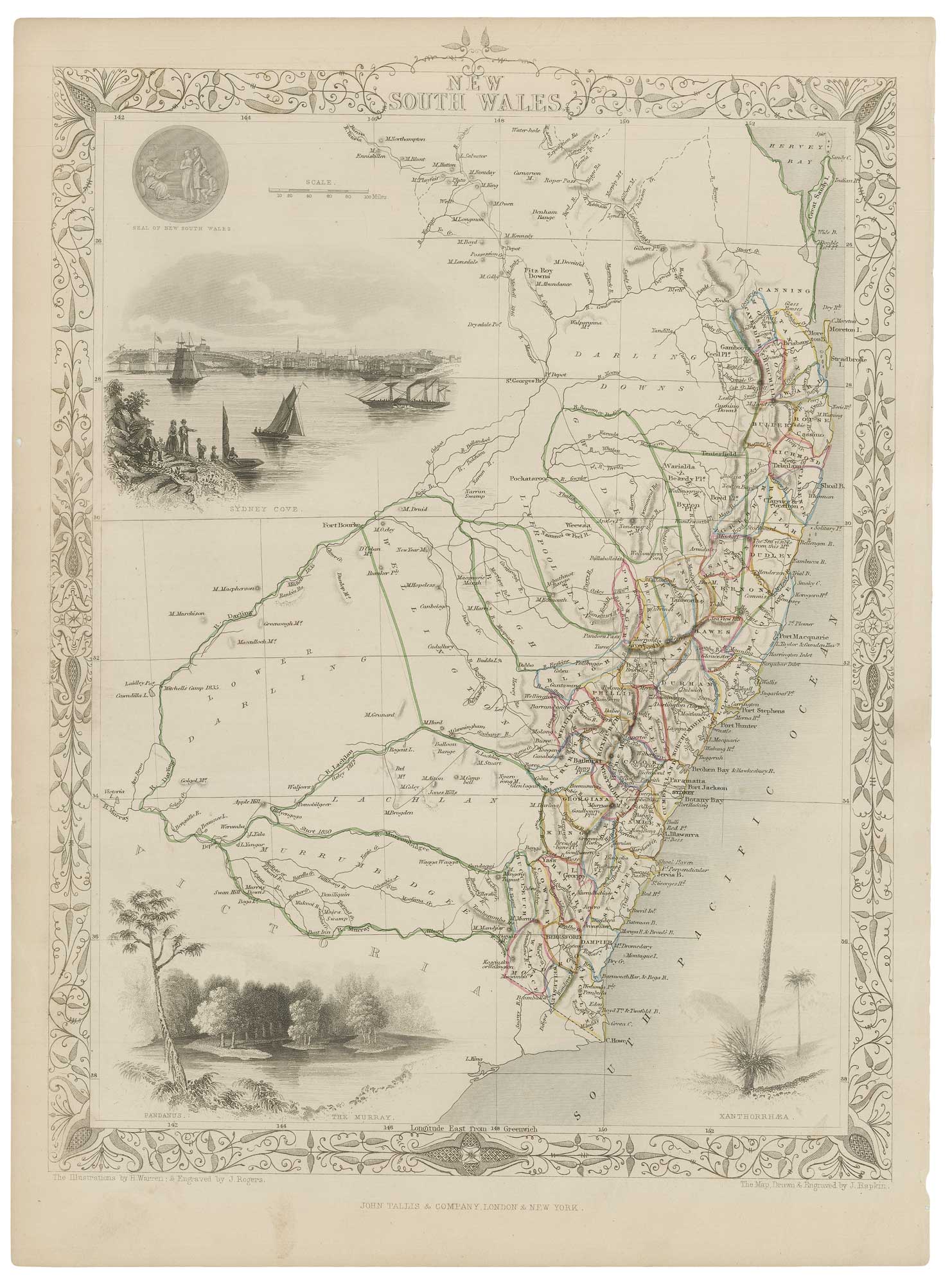 Tallis New South Wales