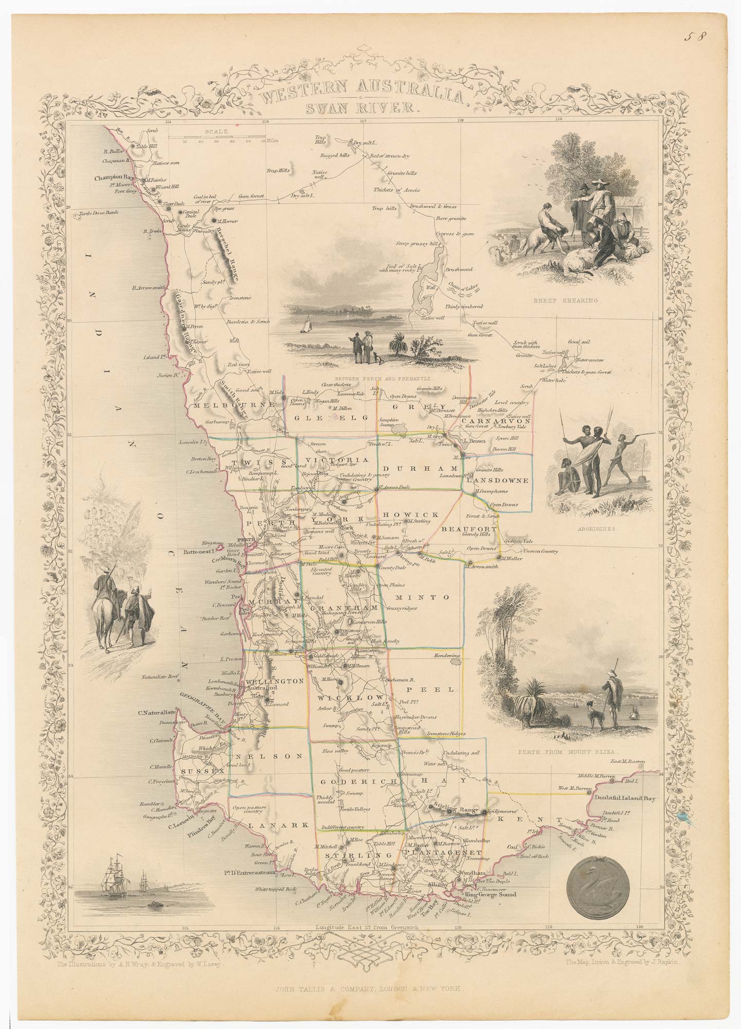 Tallis Western Australia