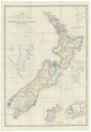 Wyld New Zealand