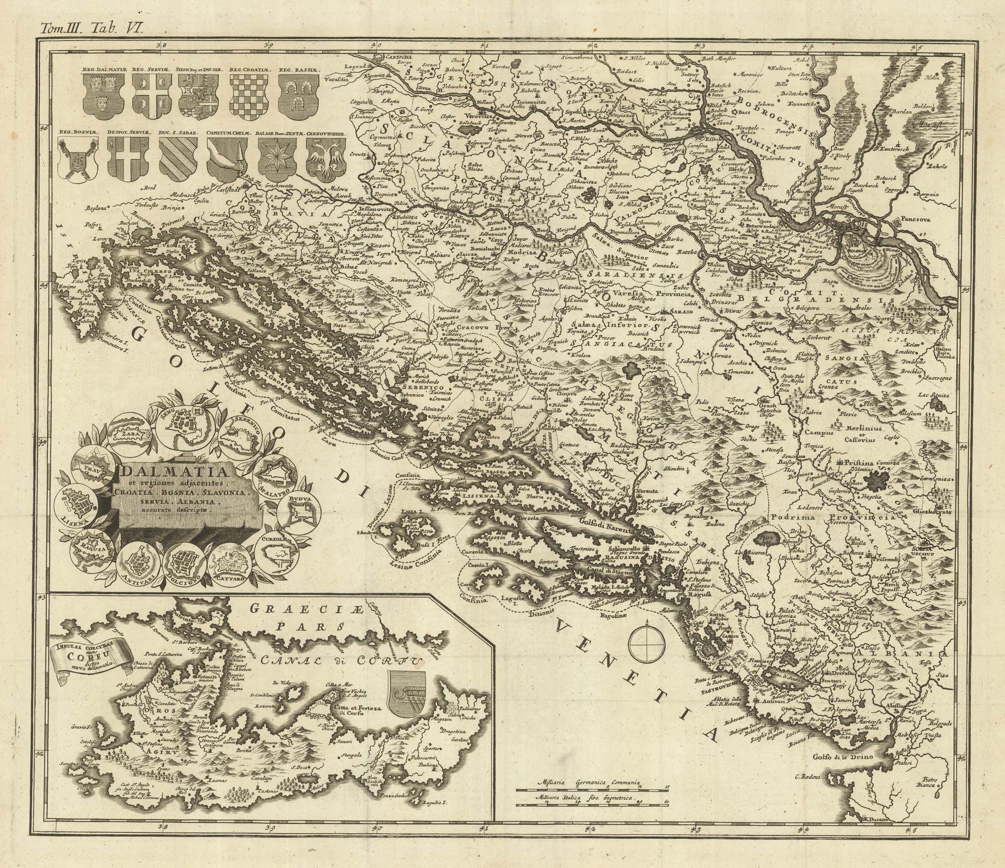 Monath Dalmatia