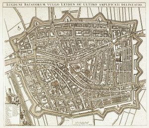 De Wit Leiden