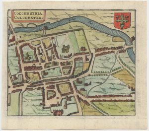Hermannides Colchester