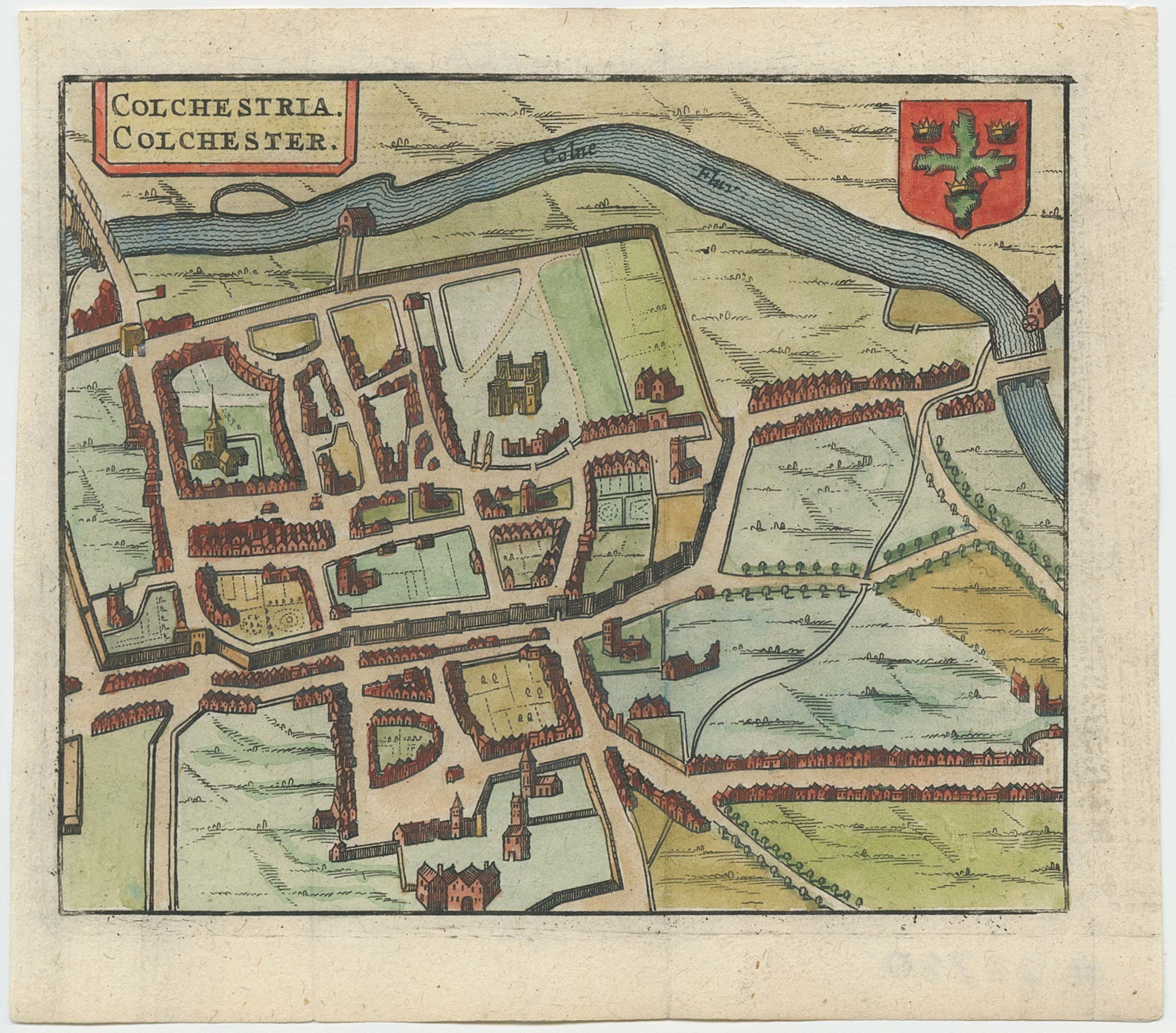 Hermannides Colchester