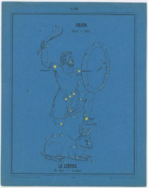 Braun Orion
