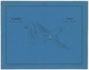 Braun Dolphin and Eagle