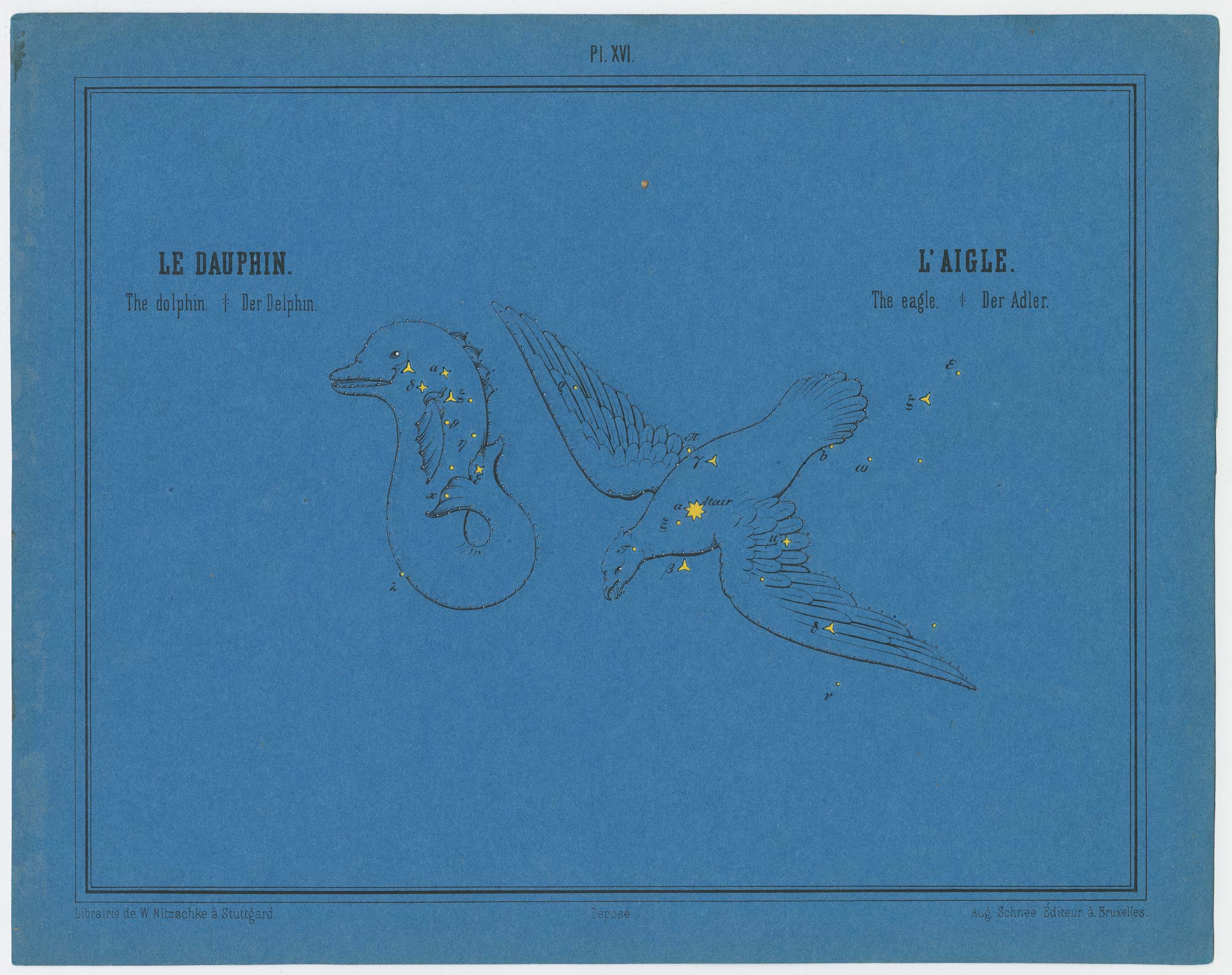 Braun Dolphin and Eagle