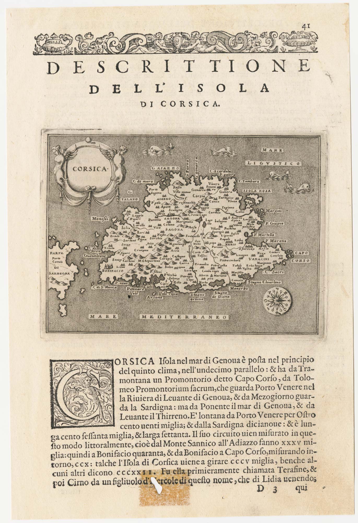 Porcacchi Corsica